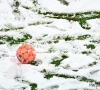 De sneeuw zorgt ook voor problemen in het voetbal: JPL-club doet beroep op zijn supporters om het trainingsveld sneeuwvrij te maken