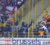 Na incidenten in Jan Breydelstadion: stadionverbod voor twaalf Antwerphooligans