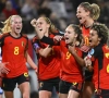 L'union fait la force: Belgische voetbalbond wil ook de Flames opwaarderen