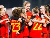 📷 Het nieuwe truitje van de Red Flames ziet er zo uit